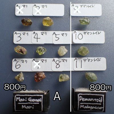 画像7: ガーネット5種原石 小箱標本