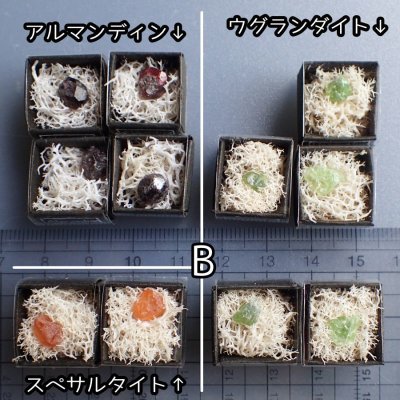 画像8: ガーネット5種原石 小箱標本