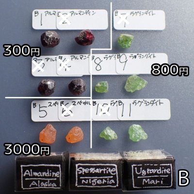 画像9: ガーネット5種原石 小箱標本
