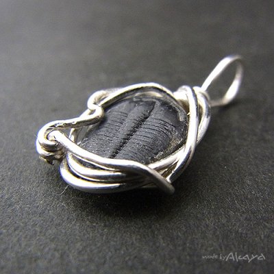 画像4: エルフのペンダント エルラシアキンギ