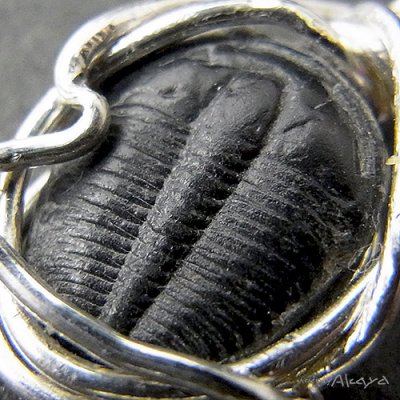 画像3: エルフのペンダント エルラシアキンギ