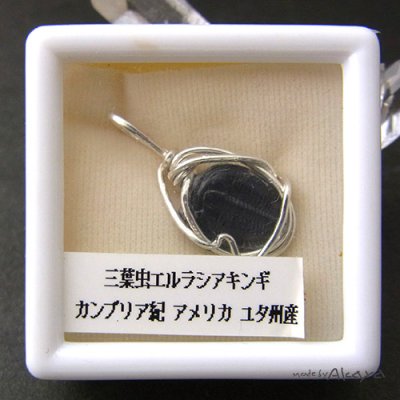 画像7: エルフのペンダント エルラシアキンギ