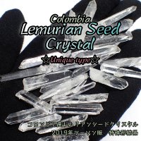 【NEW】コロンビアレムリアンシード ユニークタイプ原石
