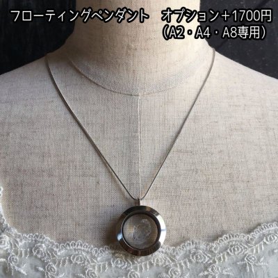 画像4: オイル イン クォーツ 原石