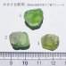 画像2: 【NEW】ペリドット 原石 スパットバレー産 (2)