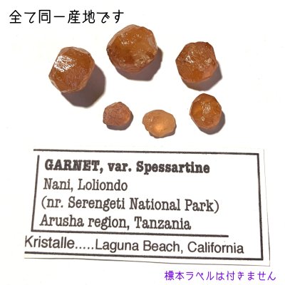 画像2: 【NEW】スペサルティンガーネット 原石 タンザニア産