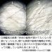 画像2: 【NEW】ホワイトチューブインクォーツ ペアシェイプカットルース (2)