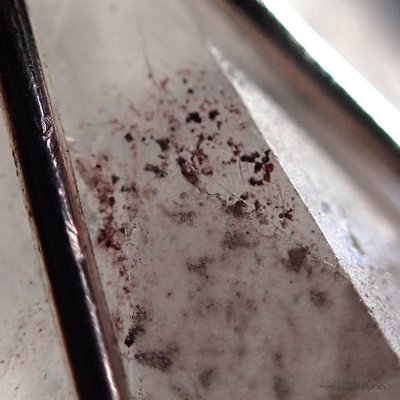 画像5: エルフのペンダント 星入り水晶