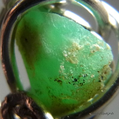 画像3: プチヘッド ジェムシリカ