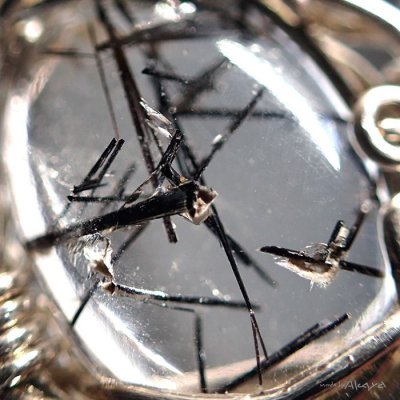 画像3: エルフのペンダント トルマリンクォーツ