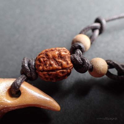 画像5: エルゥドの森 -大きな爪- ホランダイトインクォーツ