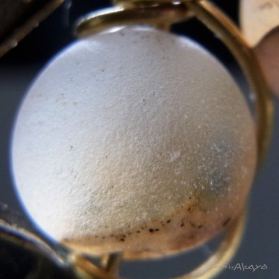 画像4: 工員の耳飾り トレジャーメノウ