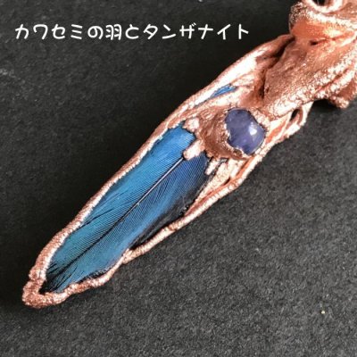 画像3: 陸海星化石 幸運のソウルスター