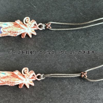 画像5: 陸海星化石 幸運のソウルスター