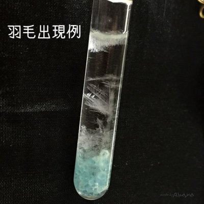 画像5: 天使の羽毛錬成管 ペントップオブジェ