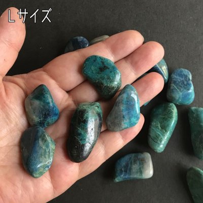 画像8: クォンタムクワトロシリカ タンブル