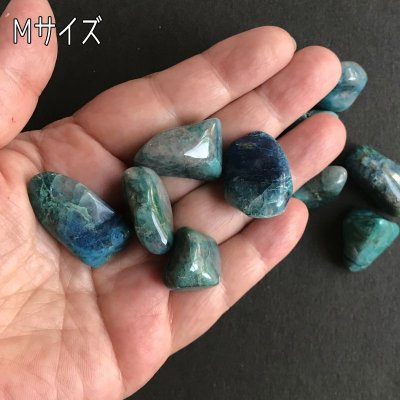 画像11: クォンタムクワトロシリカ タンブル