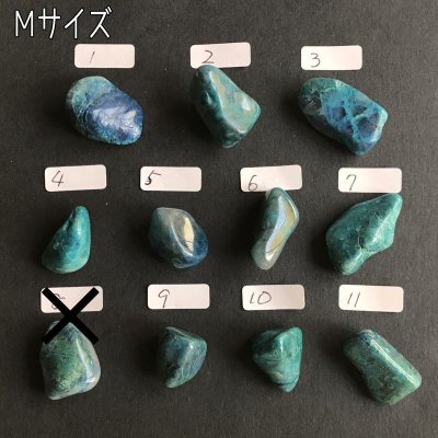 画像13: クォンタムクワトロシリカ タンブル