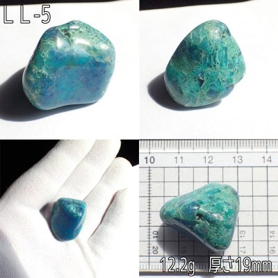 画像5: クォンタムクワトロシリカ タンブル