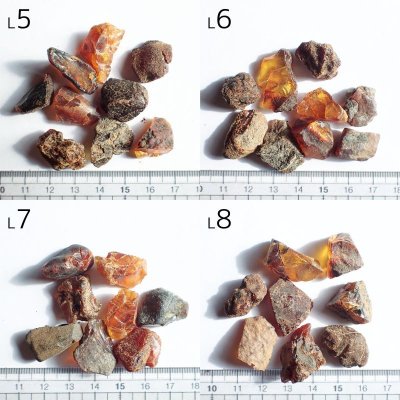 画像18: ドミニカ産ブルーアンバー原石 選べるパックと量り売り