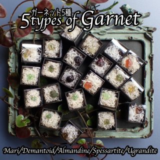 ガーネット5種原石 小箱標本 | 鉱石魔法道具と純銀アクセサリー白魔堂