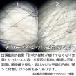 画像2: 【NEW】ホワイトチューブインクォーツ ペアシェイプカットルース (2)
