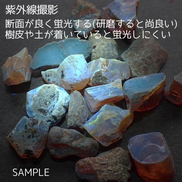 画像2: ドミニカ産ブルーアンバー原石 選べるパックと量り売り (2)