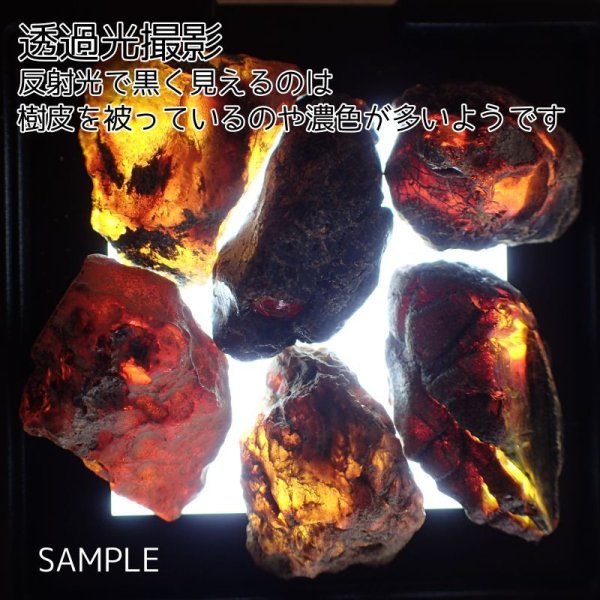 画像3: ドミニカ産ブルーアンバー原石 選べるパックと量り売り (3)